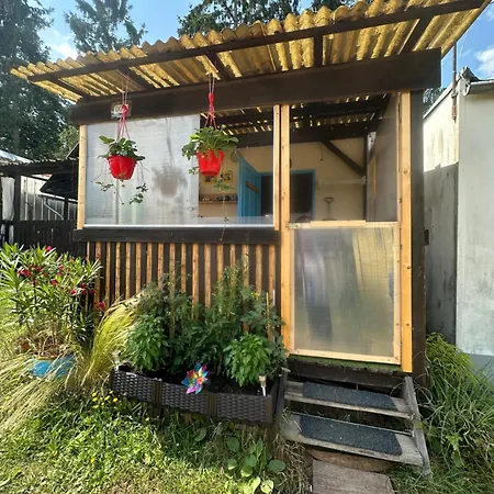 Nová živohošť Camping