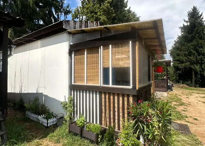 Nova Zivohost * Křečovice